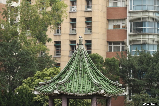 [實拍測試] Canon 四支原廠望遠變焦鏡頭畫質比較 (圖非常多)