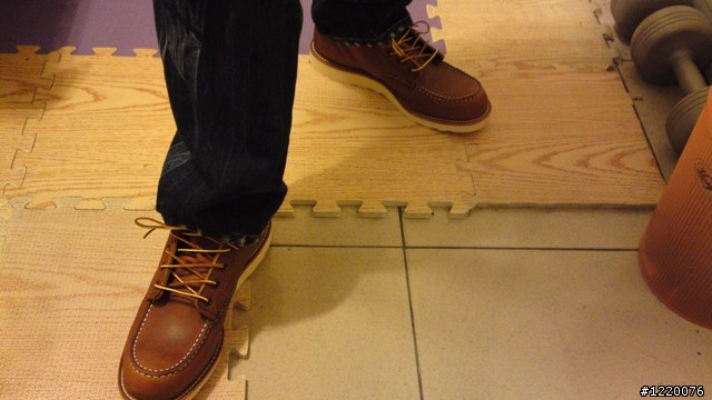 Red Wing 875開箱 + 兩個月大的8131