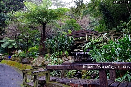 <BROMPTON與我的小旅行>冬訪惠蓀