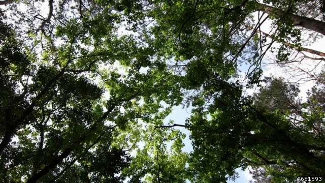 20110226來去高雄寶來小關山林道off road