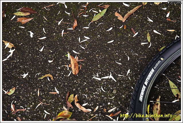虎寮潭、大舌湖、漁光環線 [Eric的單車日記]