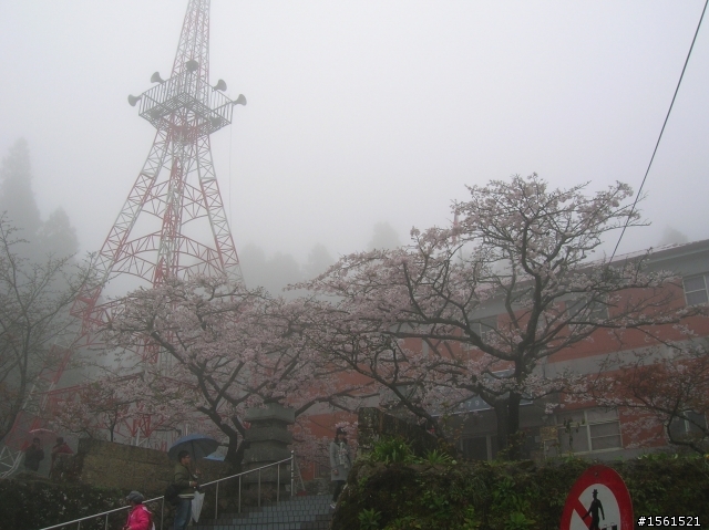 2011-0326阿里山霧中獨騎