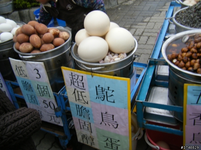 勇腳馬五天四夜環島遊(又收到紅單了)