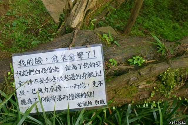 陽明山花卉試驗中心（圖多）