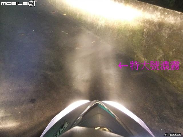 賞櫻花