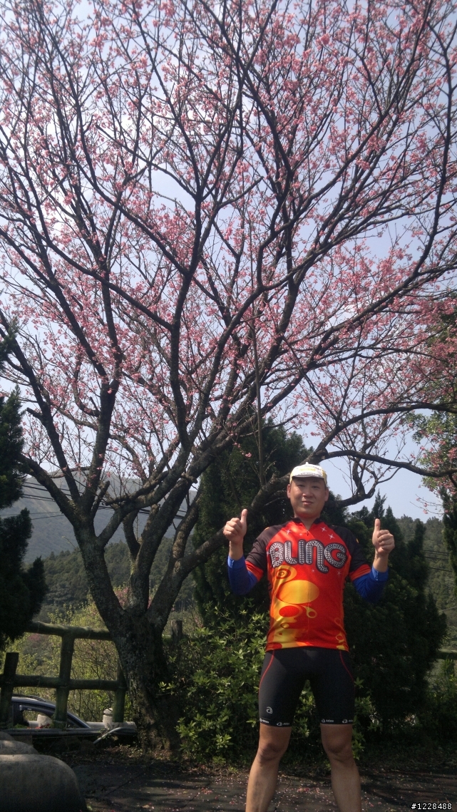 陽明山之旅