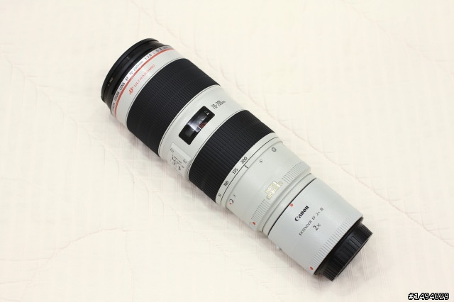 [開箱] 望遠鏡頭的好搭檔: Canon Extender EF 2x III 增距鏡