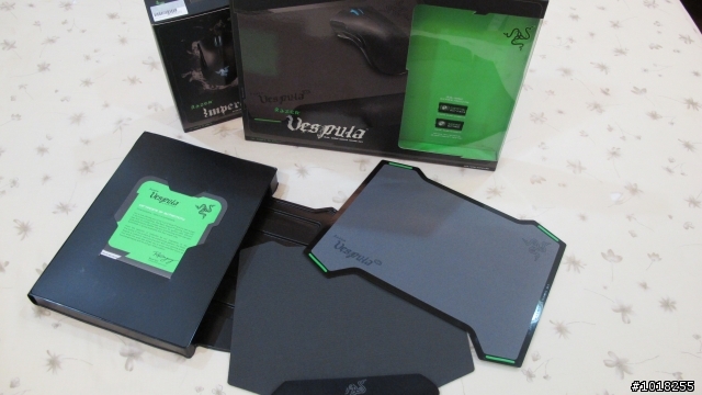 [不專業開廂+遲來的開廂] RAZER 帝王莽 黑腹狼蛛 黃斑胡蜂 (圖多)