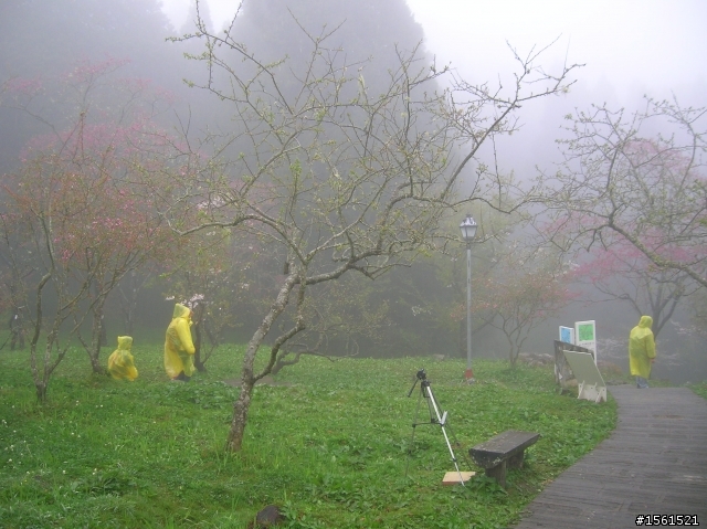 2011-0326阿里山霧中獨騎