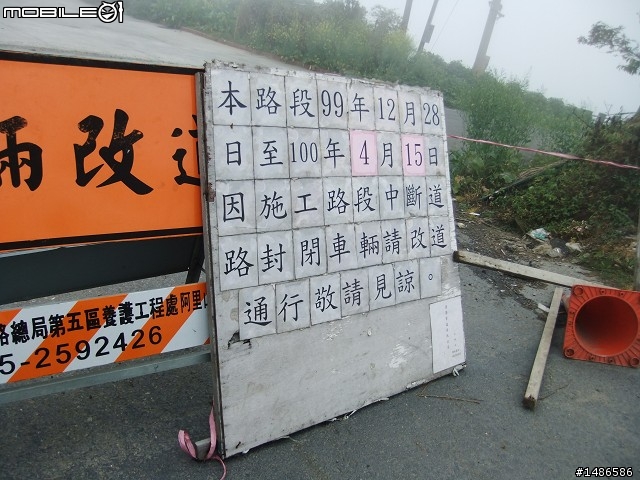 賞櫻花