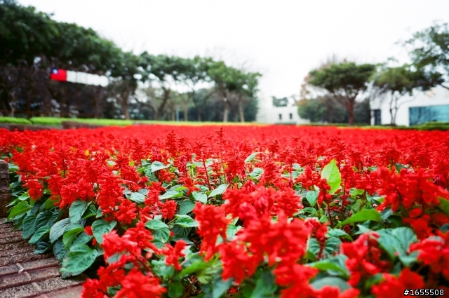 KLASSE W 測試X-TRA（大賣場庶民底片）