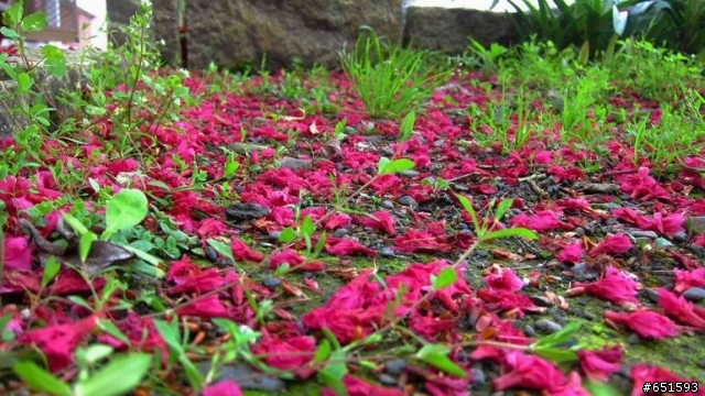 20110226來去高雄寶來小關山林道off road