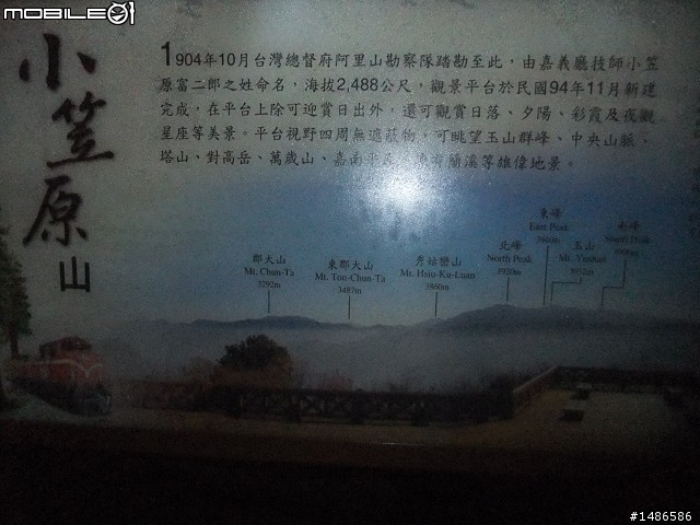 賞櫻花