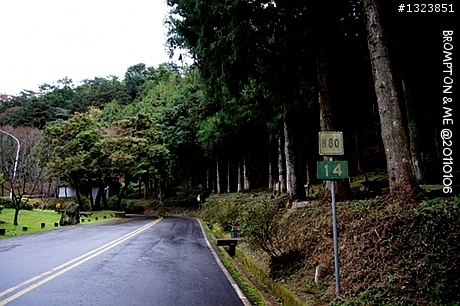 <BROMPTON與我的小旅行>冬訪惠蓀