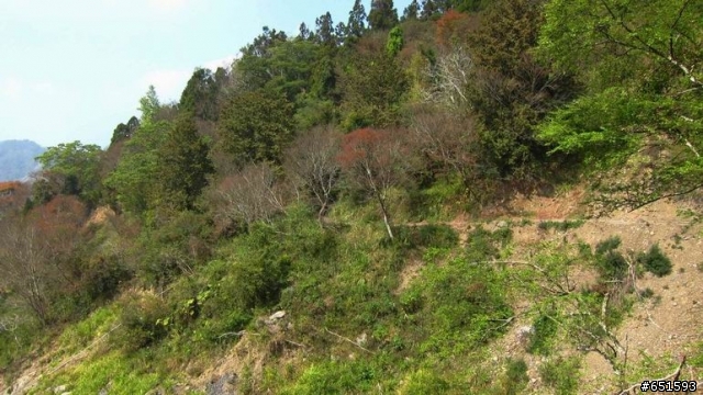 20110226來去高雄寶來小關山林道off road