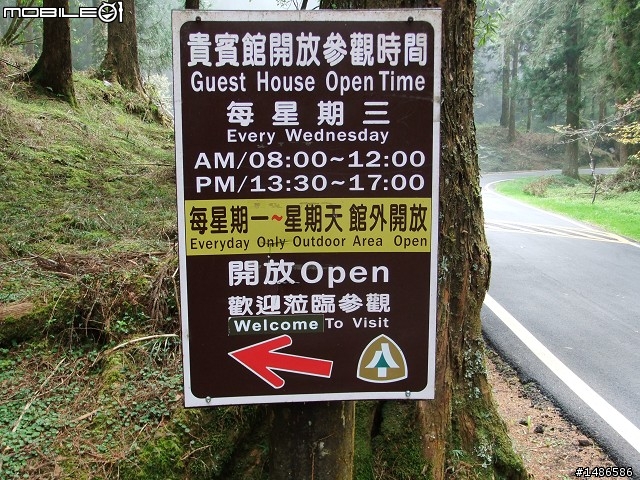 賞櫻花