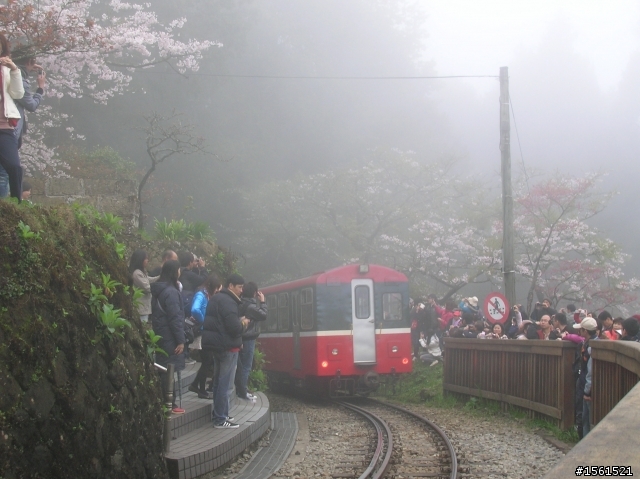 2011-0326阿里山霧中獨騎