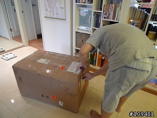 steiff 搖搖馬...(算逸品吧!!)