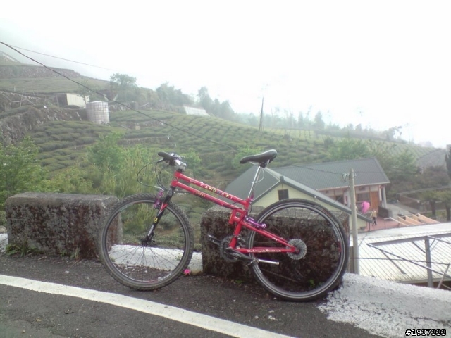 阿里山石棹MTB祕徑
