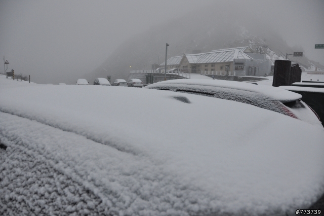 小銀出遊季Vol.1首次長途旅行遇見好朋友雪中行駛愛上小昆蟲篇