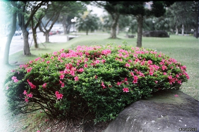 [開箱] 遲N年的開箱文: Vivitar XV-1