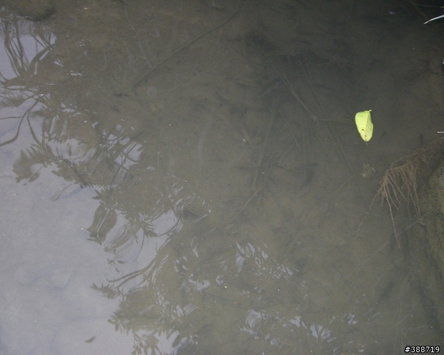 小山溝釣遊