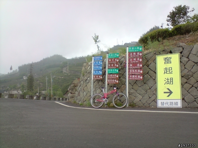 阿里山石棹MTB祕徑