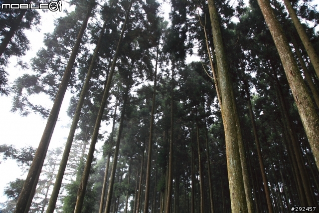 新竹五峰鄉山上人家和張學良故居