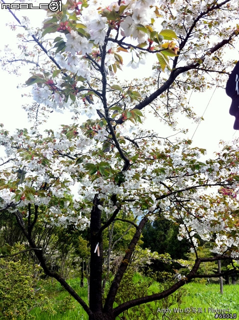 [04.09~04.10]安董之超級瘋狂阿里山遊記!!!