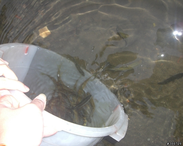 小山溝釣遊