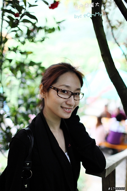 楓葉の台北奧萬大