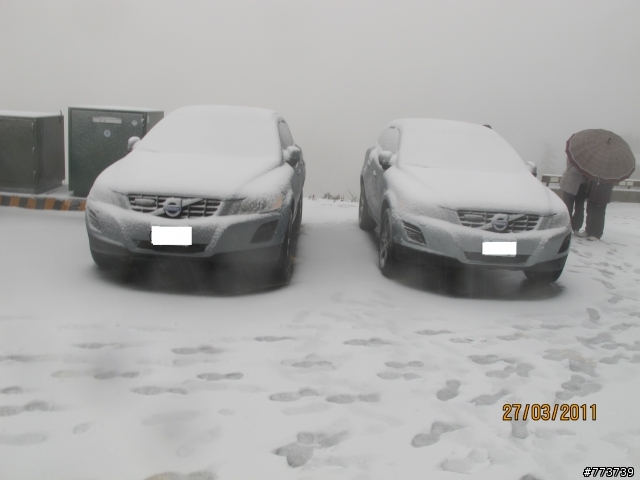小銀出遊季Vol.1首次長途旅行遇見好朋友雪中行駛愛上小昆蟲篇