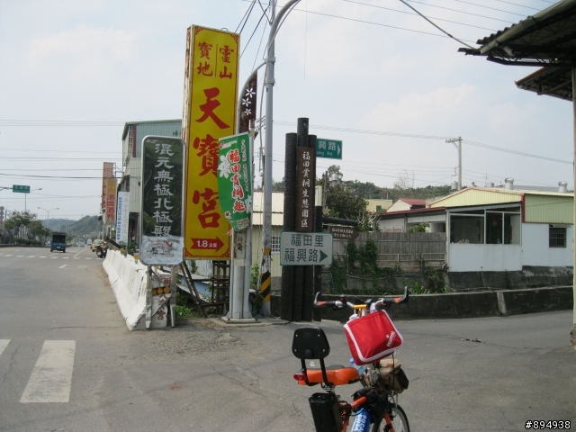 彰化福田桐花生態園區~~~~賞桐花
