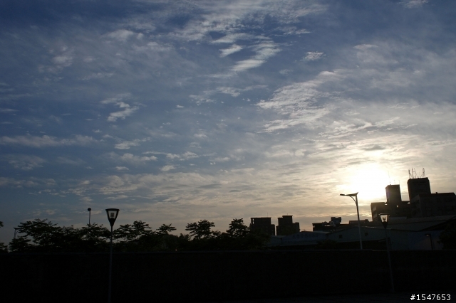 NX100 +20MM 遊鶯歌