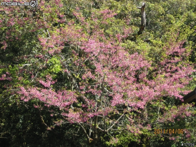 瘋狂台中行（4/6～4/7），花蓮（壽豐豐田）-台中（大里）