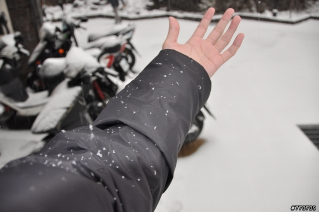 小銀出遊季Vol.1首次長途旅行遇見好朋友雪中行駛愛上小昆蟲篇