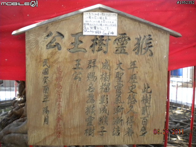 隱藏城市角落的自然奧妙 三級古蹟萬福庵