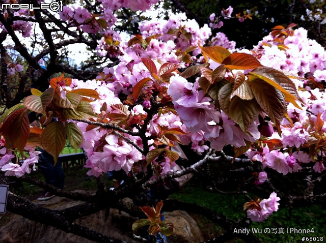 [04.09~04.10]安董之超級瘋狂阿里山遊記!!!