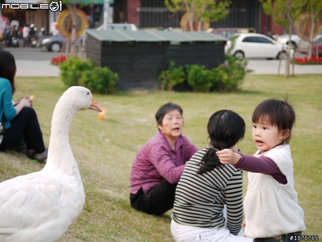Panasonic Lumix G 45-200mm F4.0-5.6  開箱文