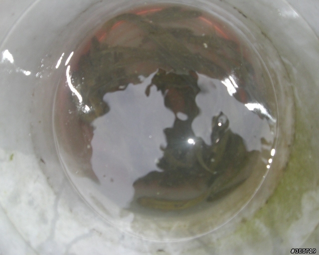 小山溝釣遊