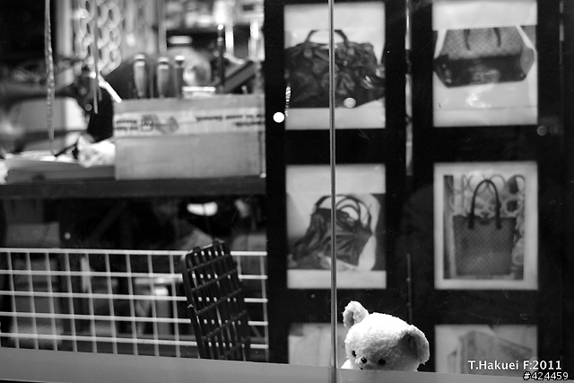 分享 Leitz Summicron 35mm F2 8-Elements