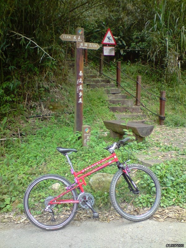 阿里山石棹MTB祕徑