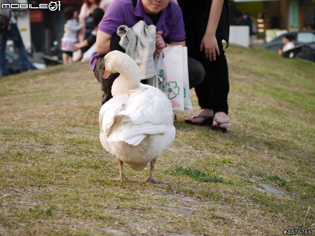 Panasonic Lumix G 45-200mm F4.0-5.6  開箱文