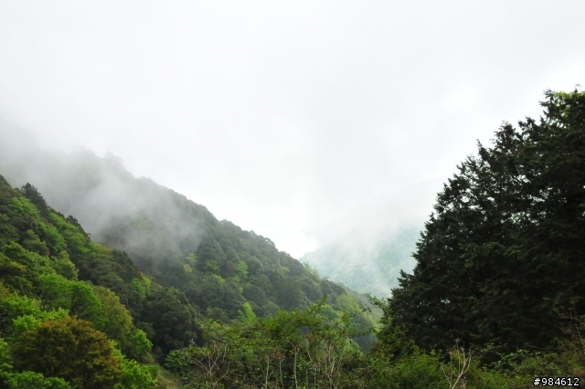 勤能補拙之再接再厲篇(台18與21連線春騎之阿里山 經塔塔加 到水里)