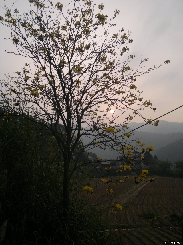 [開箱]N8，我的第一隻智慧型手機