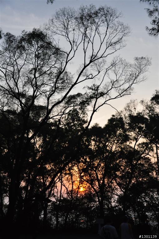黃昏 日出 很難拍(已補上照片)