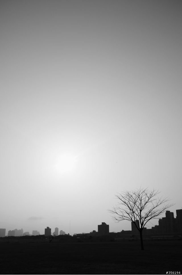 FujiFilm X100 照片分享