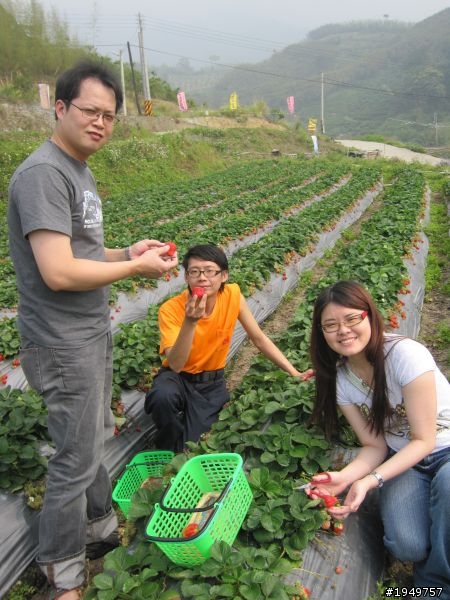 2010-04-10 大湖採草莓