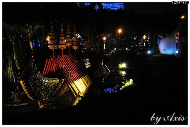 夜晚花博