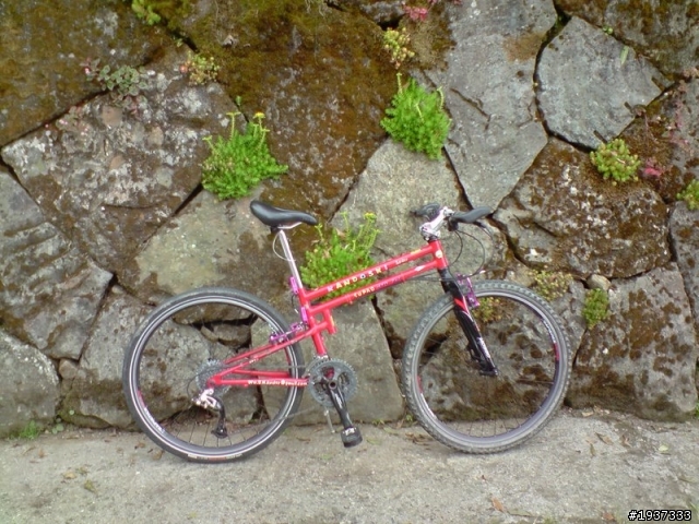 阿里山石棹MTB祕徑